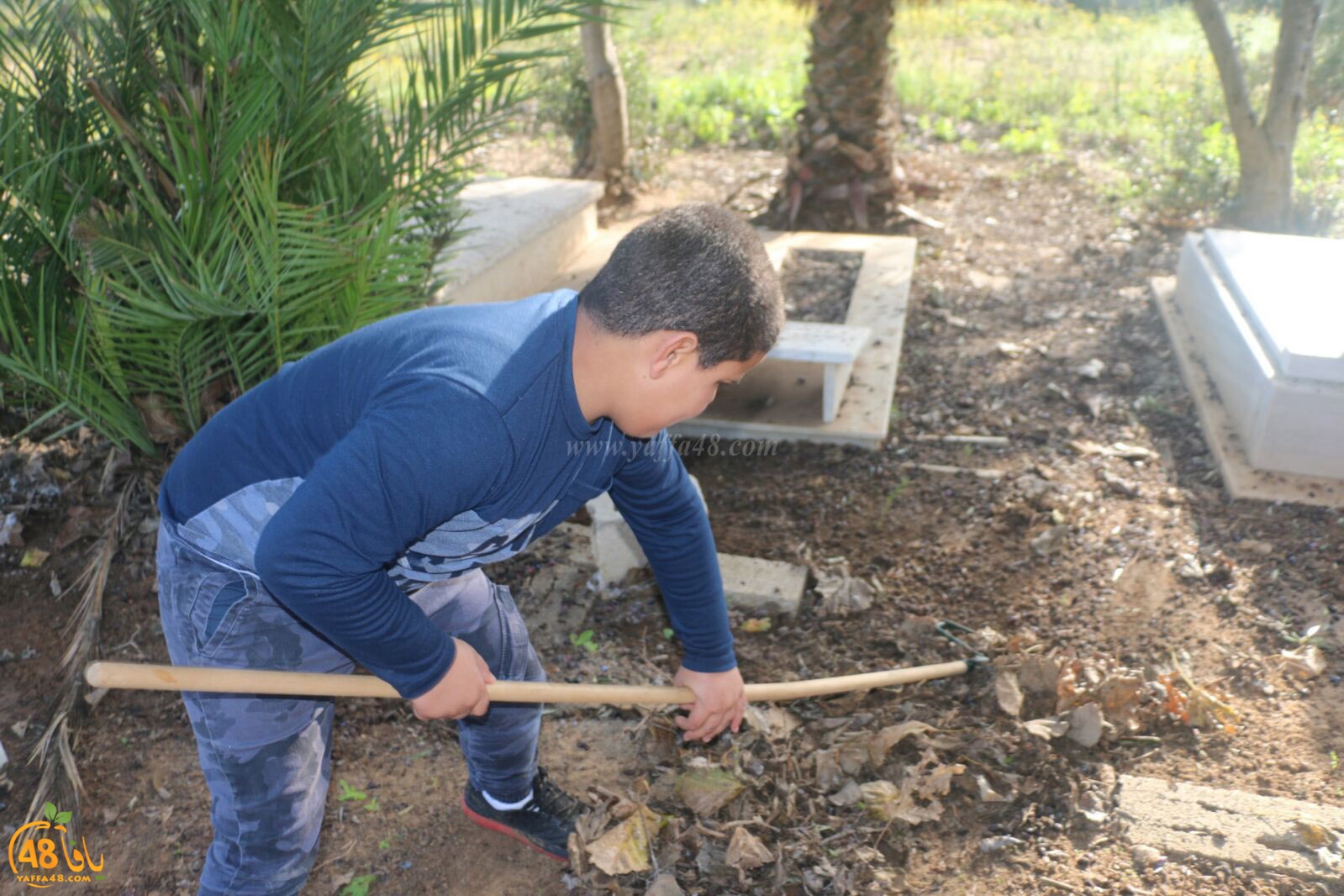 taso 23 tendedf (12).jpg